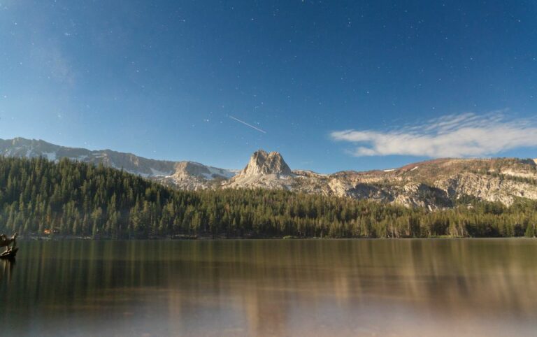 Greener Tomorrow by Efficiency Today: Alpha Omega’s partnership with the USDA Forest Service